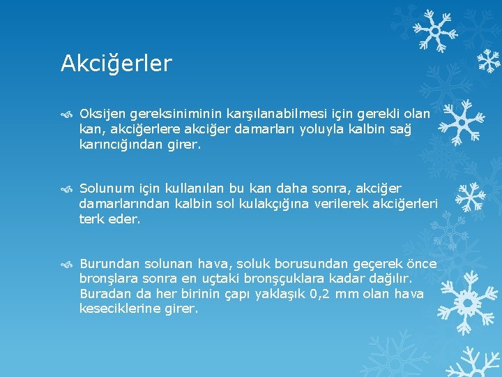 Akciğerler Oksijen gereksiniminin karşılanabilmesi için gerekli olan kan, akciğerlere akciğer damarları yoluyla kalbin sağ