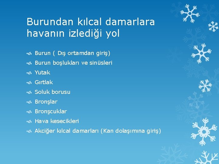 Burundan kılcal damarlara havanın izlediği yol Burun ( Dış ortamdan giriş) Burun boşlukları ve