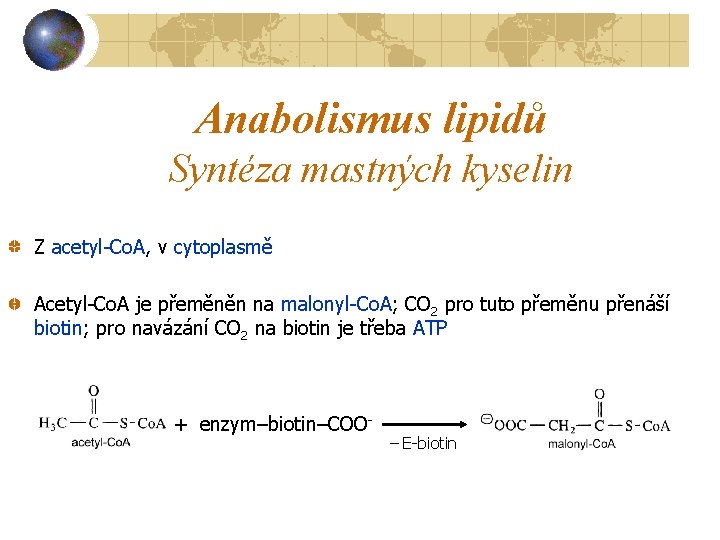 Anabolismus lipidů Syntéza mastných kyselin Z acetyl-Co. A, v cytoplasmě Acetyl-Co. A je přeměněn