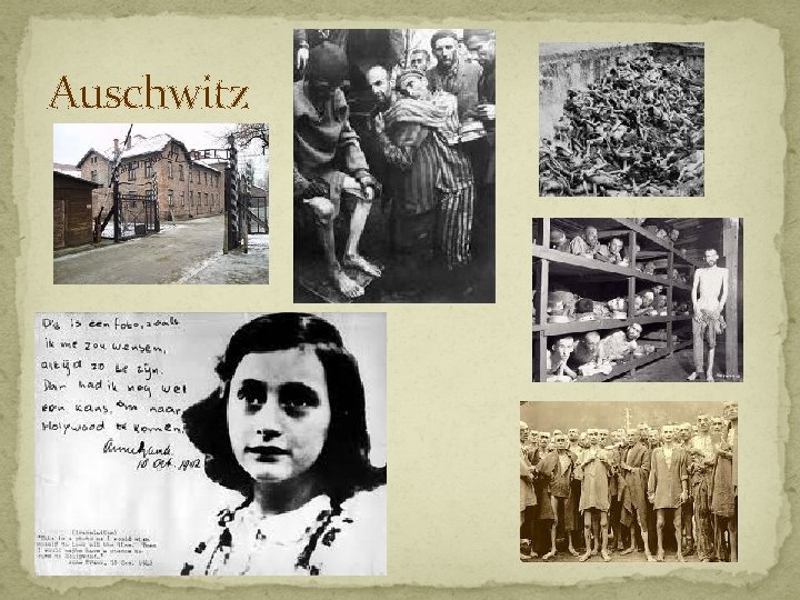 Auschwitz 