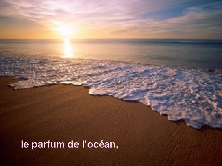 le parfum de l’océan, 