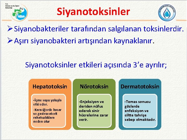 Siyanotoksinler Ø Siyanobakteriler tarafından salgılanan toksinlerdir. Ø Aşırı siyanobakteri artışından kaynaklanır. Siyanotoksinler etkileri açısında