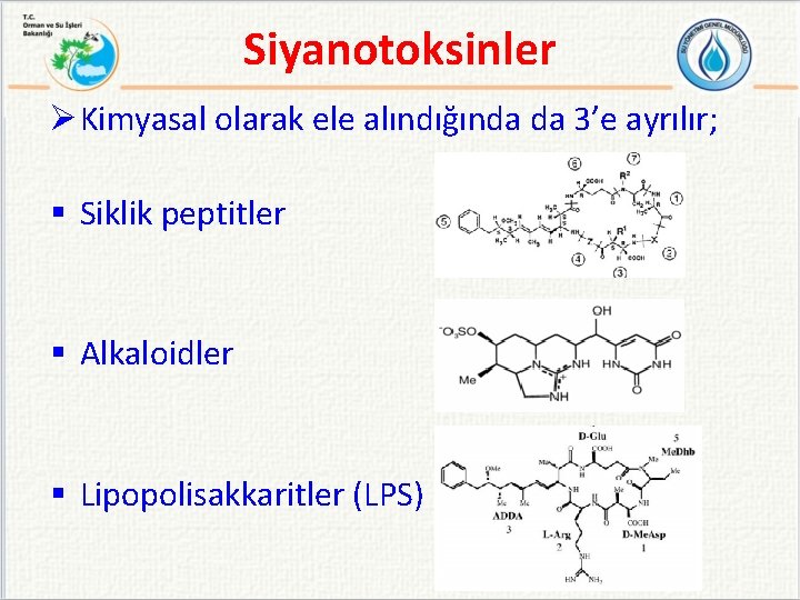 Siyanotoksinler Ø Kimyasal olarak ele alındığında da 3’e ayrılır; § Siklik peptitler § Alkaloidler