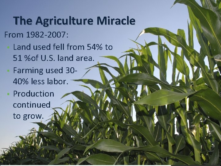 The Agriculture Miracle From 1982 -2007: § Land used fell from 54% to 51