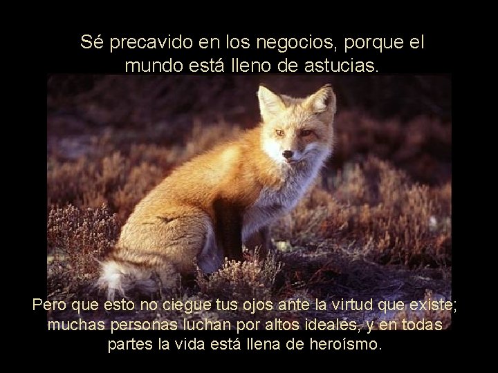 Sé precavido en los negocios, porque el mundo está lleno de astucias. Pero que