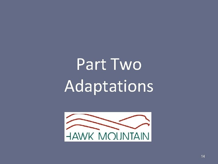 Part Two Adaptations 14 