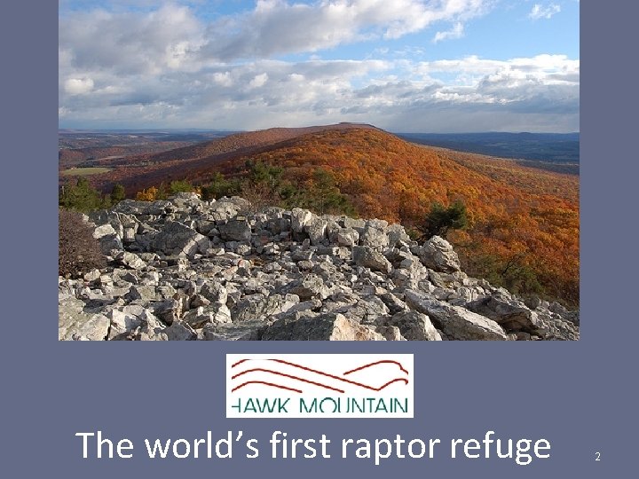 The world’s first raptor refuge 2 