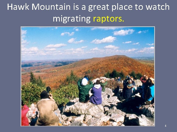 Hawk Mountain is a great place to watch migrating raptors. 4 