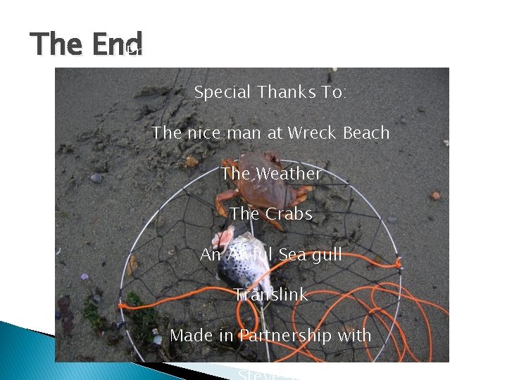 Presented by Ryan Goodman The End Produced by Rotten Bait ‘n Such co. Special