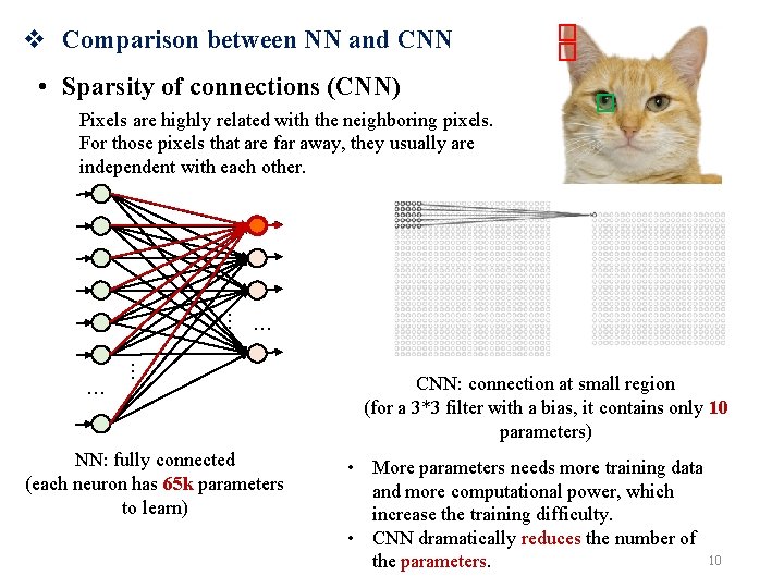 v Comparison between NN and CNN • Sparsity of connections (CNN) Pixels are highly