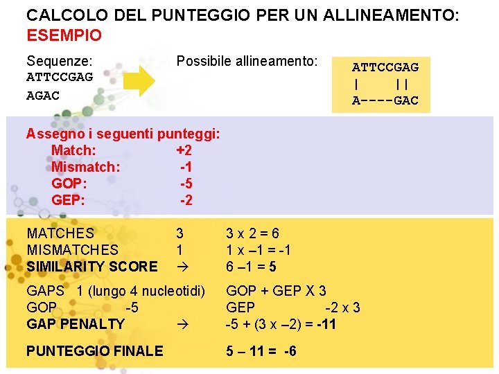  CALCOLO DEL PUNTEGGIO PER UN ALLINEAMENTO: ESEMPIO Sequenze: ATTCCGAG AGAC Possibile allineamento: ATTCCGAG