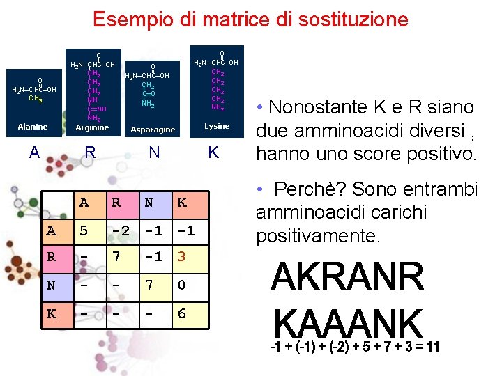 Esempio di matrice di sostituzione A R N K A R N K A