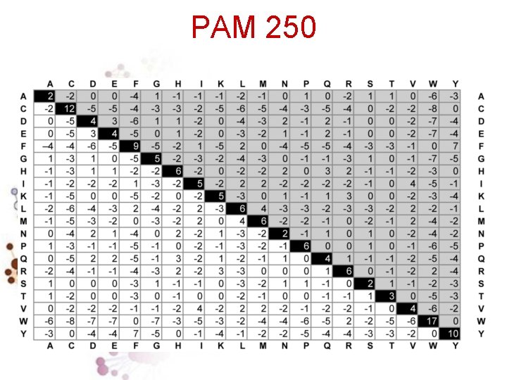 PAM 250 