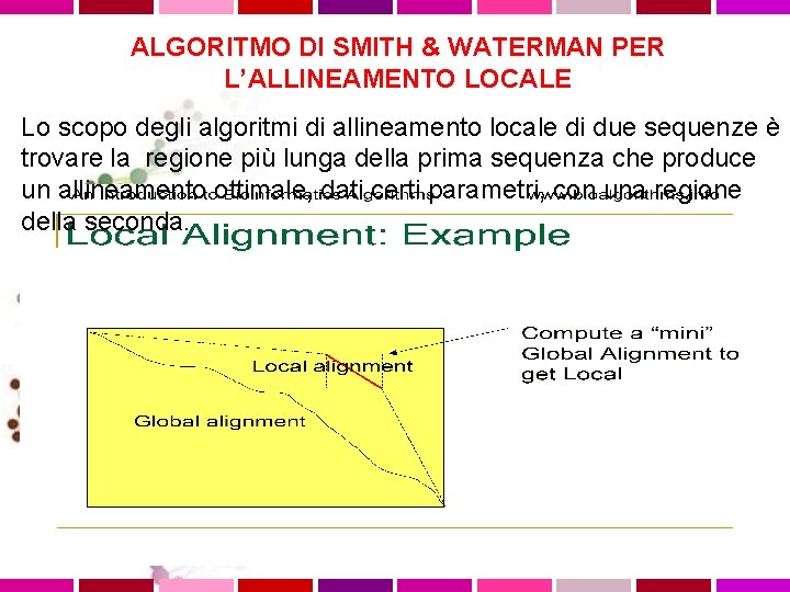 ALGORITMO DI SMITH & WATERMAN PER L’ALLINEAMENTO LOCALE Lo scopo degli algoritmi di allineamento