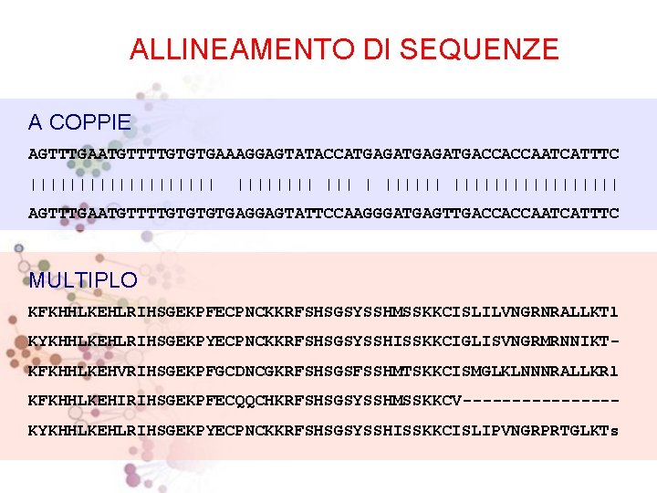 ALLINEAMENTO DI SEQUENZE A COPPIE AGTTTGAATGTTTTGTGTGAAAGGAGTATACCATGAGATGACCACCAATCATTTC |||||||||| ||| | ||||||||||| AGTTTGAATGTTTTGTGAGGAGTATTCCAAGGGATGAGTTGACCACCAATCATTTC MULTIPLO KFKHHLKEHLRIHSGEKPFECPNCKKRFSHSGSYSSHMSSKKCISLILVNGRNRALLKTl KYKHHLKEHLRIHSGEKPYECPNCKKRFSHSGSYSSHISSKKCIGLISVNGRMRNNIKTKFKHHLKEHVRIHSGEKPFGCDNCGKRFSHSGSFSSHMTSKKCISMGLKLNNNRALLKRl