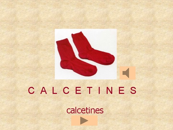 C A L C E T I N E S calcetines 