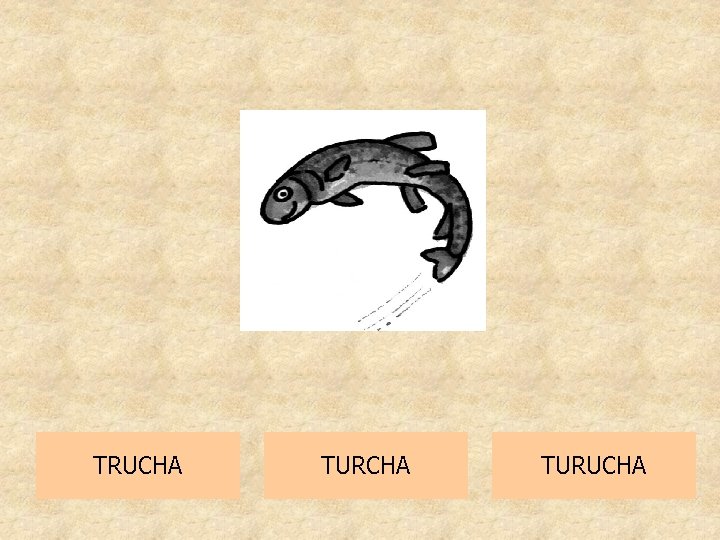 TRUCHA TURUCHA 