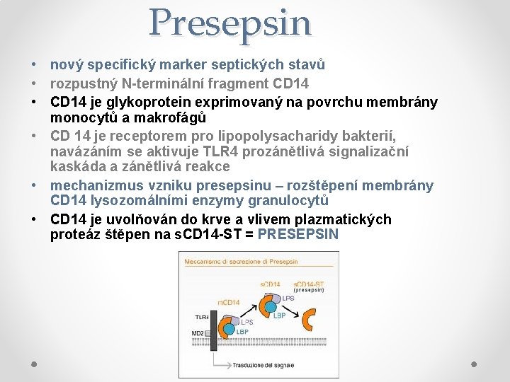 Presepsin • nový specifický marker septických stavů • rozpustný N-terminální fragment CD 14 •