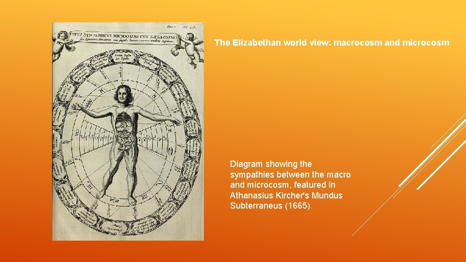 The Elizabethan world view: macrocosm and microcosm Diagram showing the sympathies between the macro