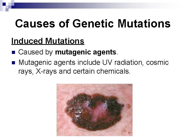 Causes of Genetic Mutations Induced Mutations n n Caused by mutagenic agents. Mutagenic agents