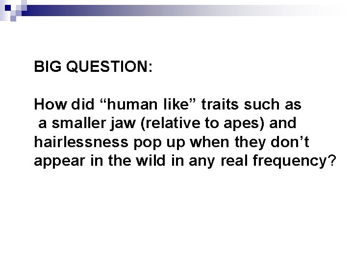 BIG QUESTION: How did “human like” traits such as a smaller jaw (relative to