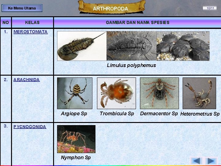 ARTHROPODA Ke Menu Utama NO 1. KELAS 10/11 GAMBAR DAN NAMA SPESIES MEROSTOMATA Limulus