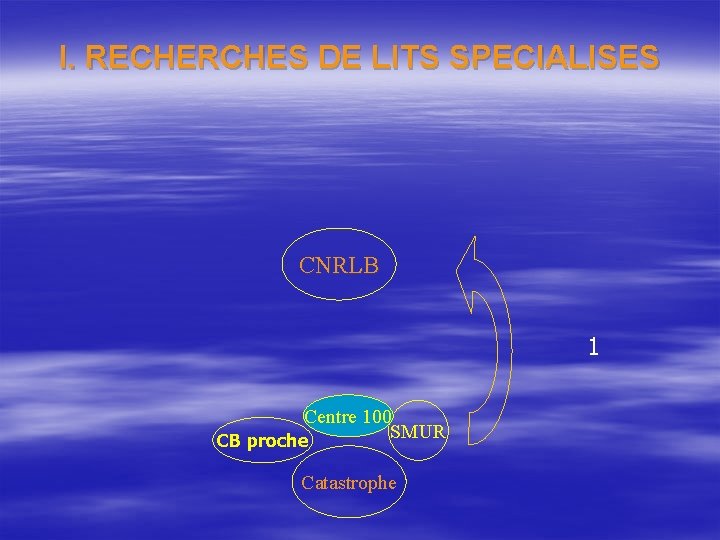 I. RECHERCHES DE LITS SPECIALISES CNRLB 1 Centre 100 SMUR CB proche Catastrophe 