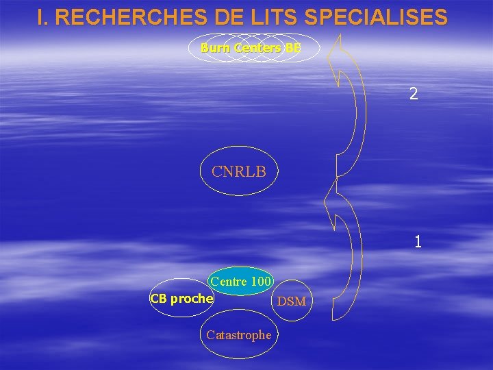 I. RECHERCHES DE LITS SPECIALISES Burn Centers BE 2 CNRLB 1 Centre 100 CB
