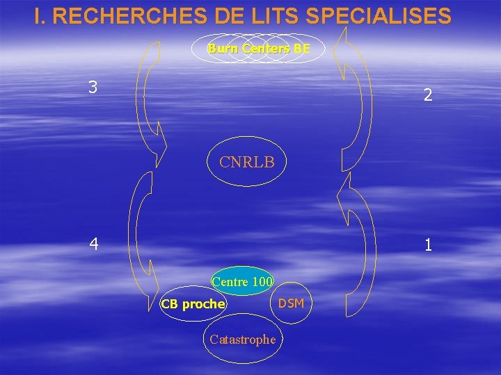 I. RECHERCHES DE LITS SPECIALISES Burn Centers BE 3 2 CNRLB 4 1 Centre