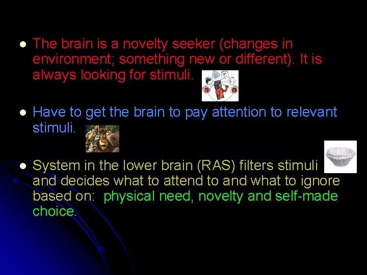 l The brain is a novelty seeker (changes in environment; something new or different).