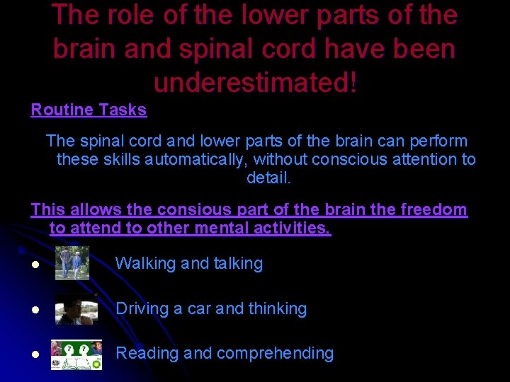 The role of the lower parts of the brain and spinal cord have been