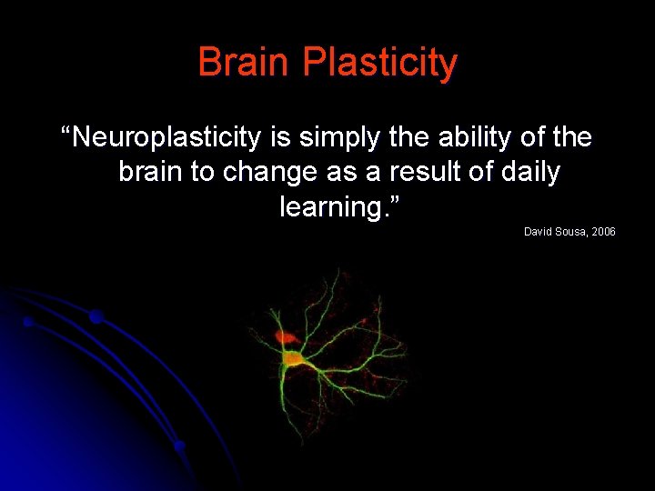 Brain Plasticity “Neuroplasticity is simply the ability of the brain to change as a
