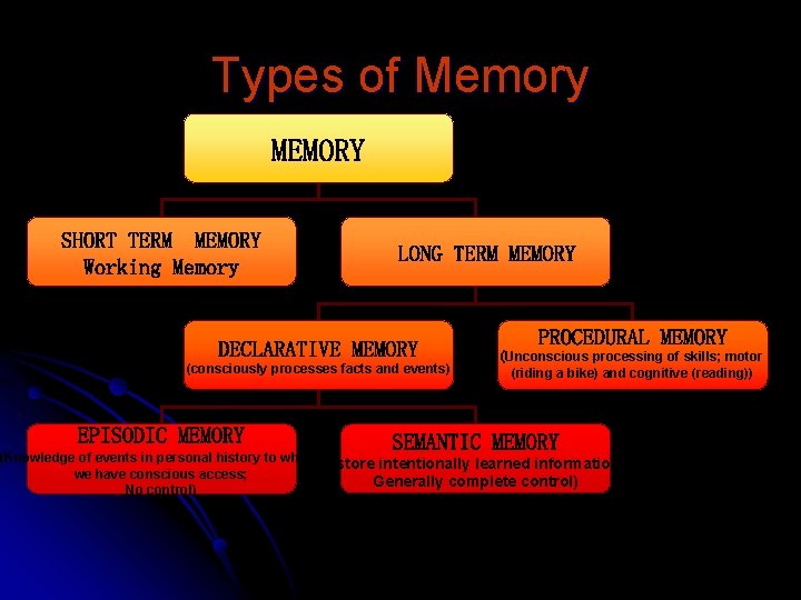 Types of Memory MEMORY SHORT TERM MEMORY Working Memory LONG TERM MEMORY DECLARATIVE MEMORY