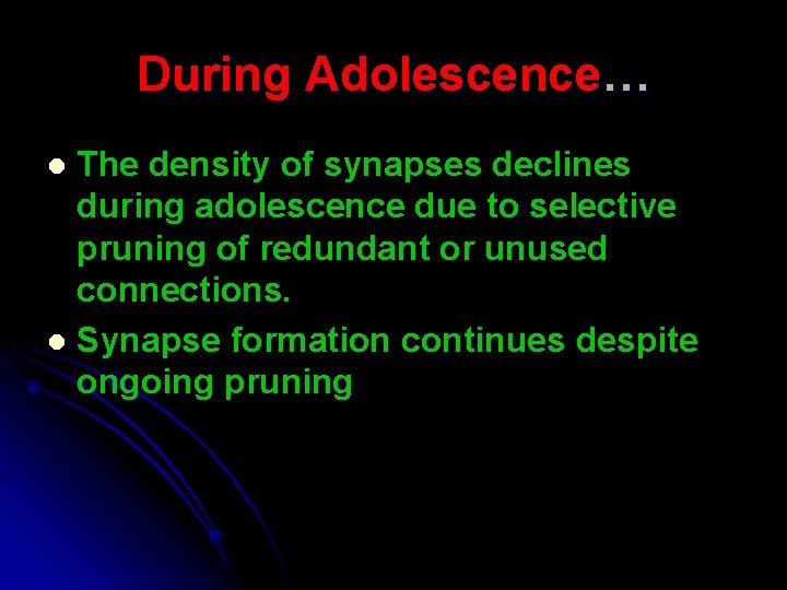 During Adolescence… The density of synapses declines during adolescence due to selective pruning of