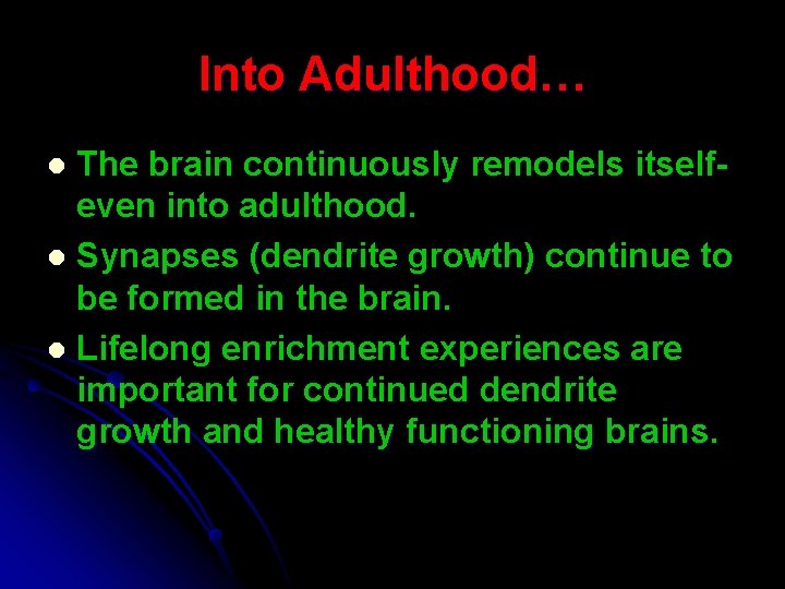 Into Adulthood… The brain continuously remodels itselfeven into adulthood. l Synapses (dendrite growth) continue