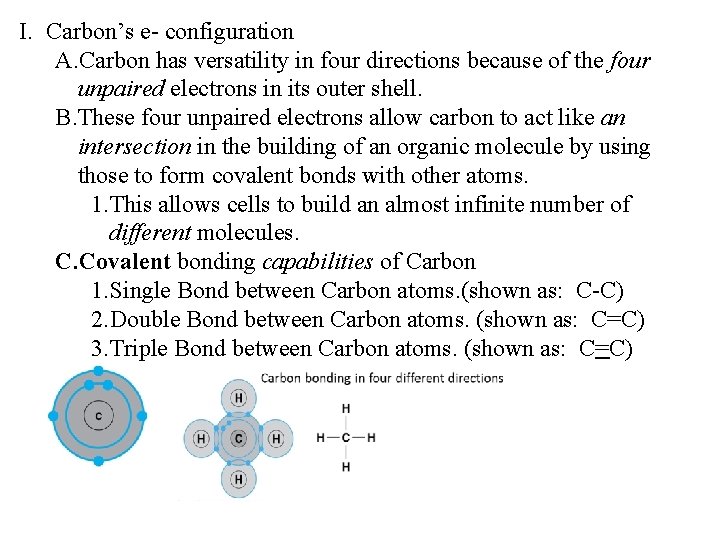 I. Carbon’s e- configuration A. Carbon has versatility in four directions because of the