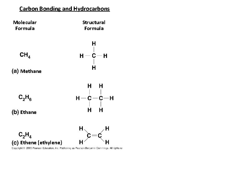 Carbon Bonding and Hydrocarbons Molecular Formula Methane Ethene (ethylene) Structural Formula 