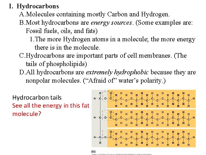 I. Hydrocarbons A. Molecules containing mostly Carbon and Hydrogen. B. Most hydrocarbons are energy