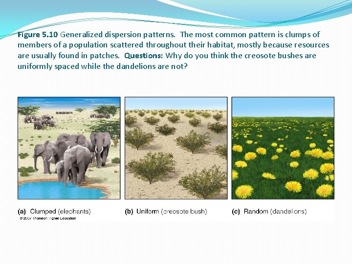 Figure 5. 10 Generalized dispersion patterns. The most common pattern is clumps of members