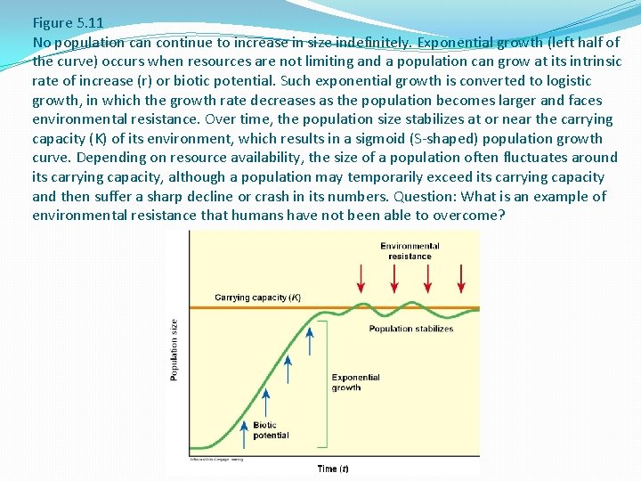 Figure 5. 11 No population can continue to increase in size indefinitely. Exponential growth