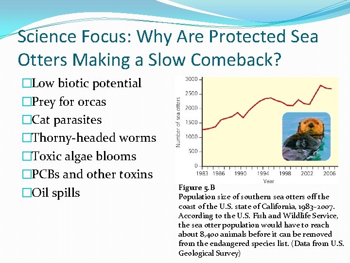 Science Focus: Why Are Protected Sea Otters Making a Slow Comeback? �Low biotic potential
