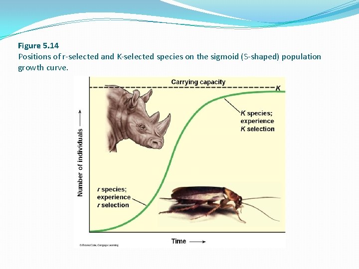 Figure 5. 14 Positions of r-selected and K-selected species on the sigmoid (S-shaped) population