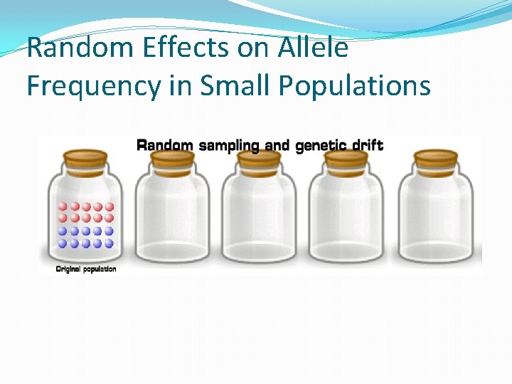 Random Effects on Allele Frequency in Small Populations 