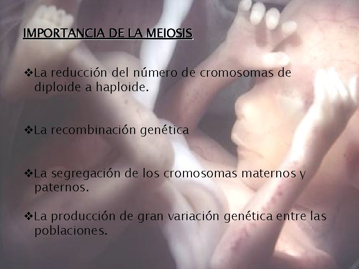 IMPORTANCIA DE LA MEIOSIS v. La reducción del número de cromosomas de diploide a