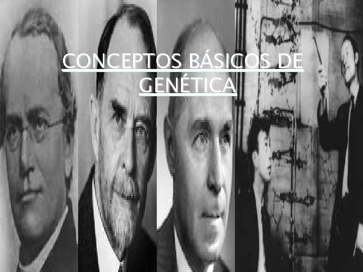 CONCEPTOS BÁSICOS DE GENÉTICA 