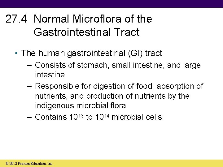27. 4 Normal Microflora of the Gastrointestinal Tract • The human gastrointestinal (GI) tract