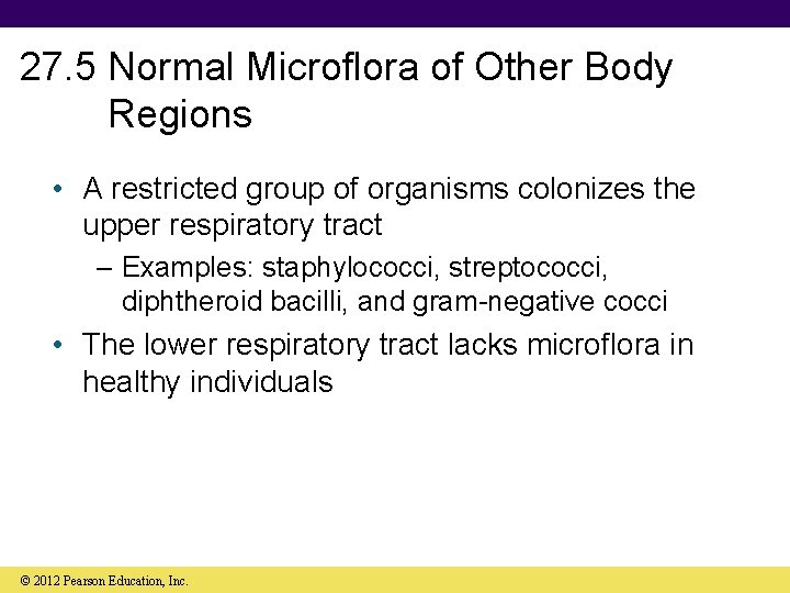 27. 5 Normal Microflora of Other Body Regions • A restricted group of organisms