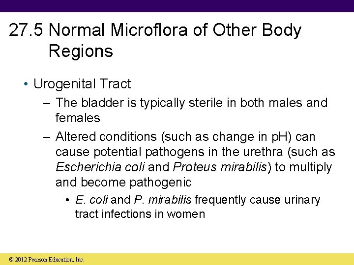 27. 5 Normal Microflora of Other Body Regions • Urogenital Tract – The bladder