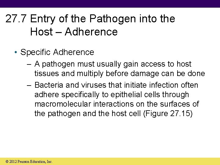 27. 7 Entry of the Pathogen into the Host – Adherence • Specific Adherence