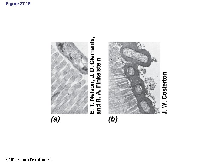 Figure 27. 15 © 2012 Pearson Education, Inc. 